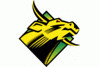 south florida bulls logo