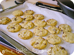 choc ginger walnut cookies
