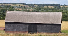 Essex Way thatched barn