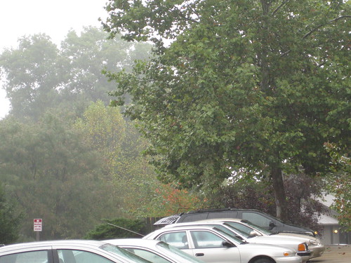 mist and rain