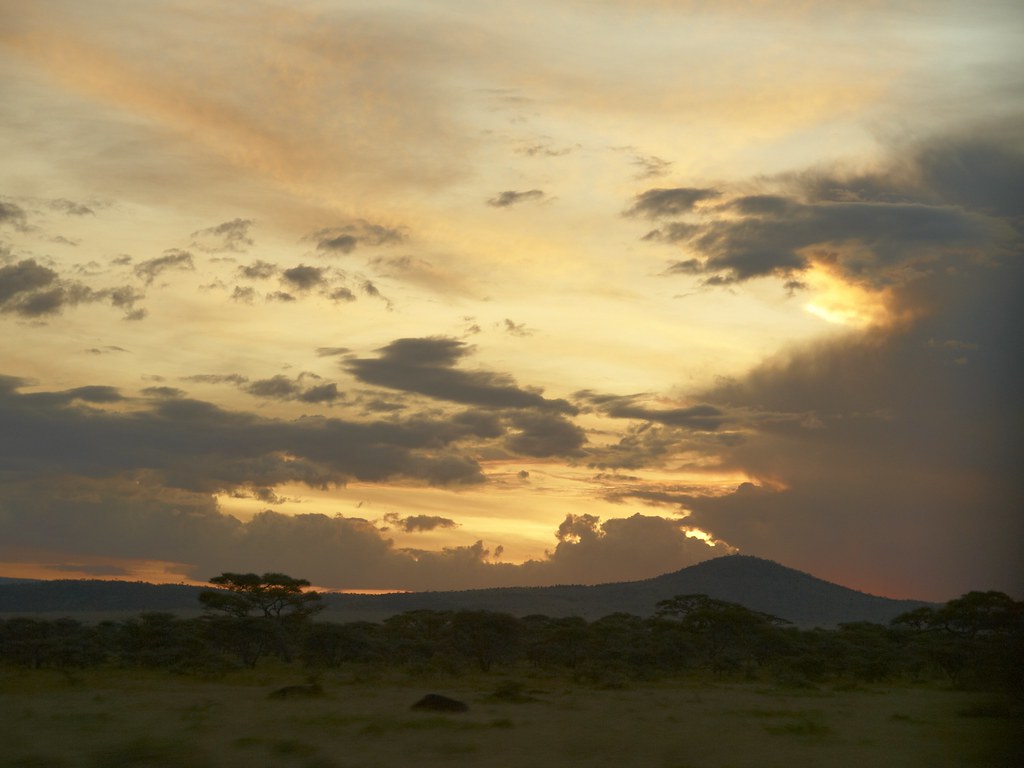 Dia quinto - 8 de mayo - Sentir el Serengeti - En busca de la gran migración (12)