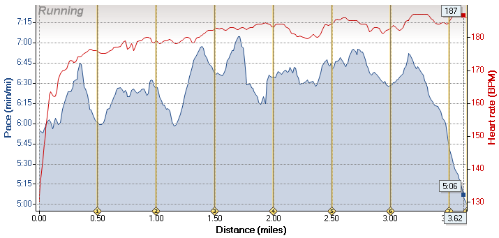 Fun race - pace and heart rate