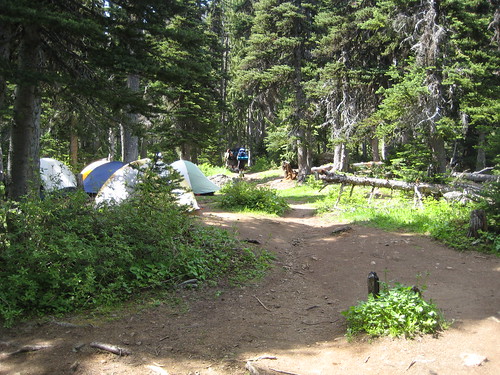 The Village at Camp Mystery