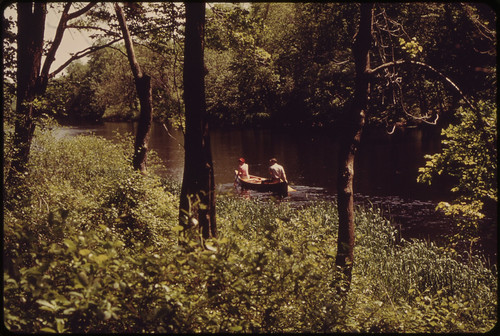 Canoeing on the Charles River Audubon Society Reservation at Natick 05/1973
