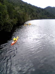 Kayaks on the Gordon River