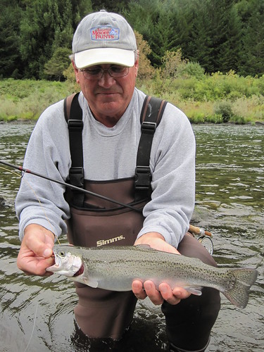 Fly Fishing the Rogue River on foot — Half pounder report