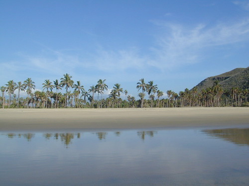 Playa Baja - Todos Santos Beaches