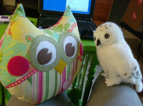 Owly and Kirby stuffed owl plushies together snowy owl and colorful fabric owl