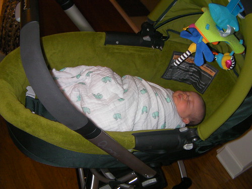 week 7- green bassinet- sleepy baby