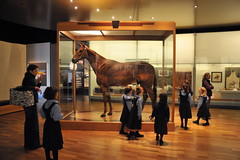 Melbourne 2009 - Melbourne Museum (12)