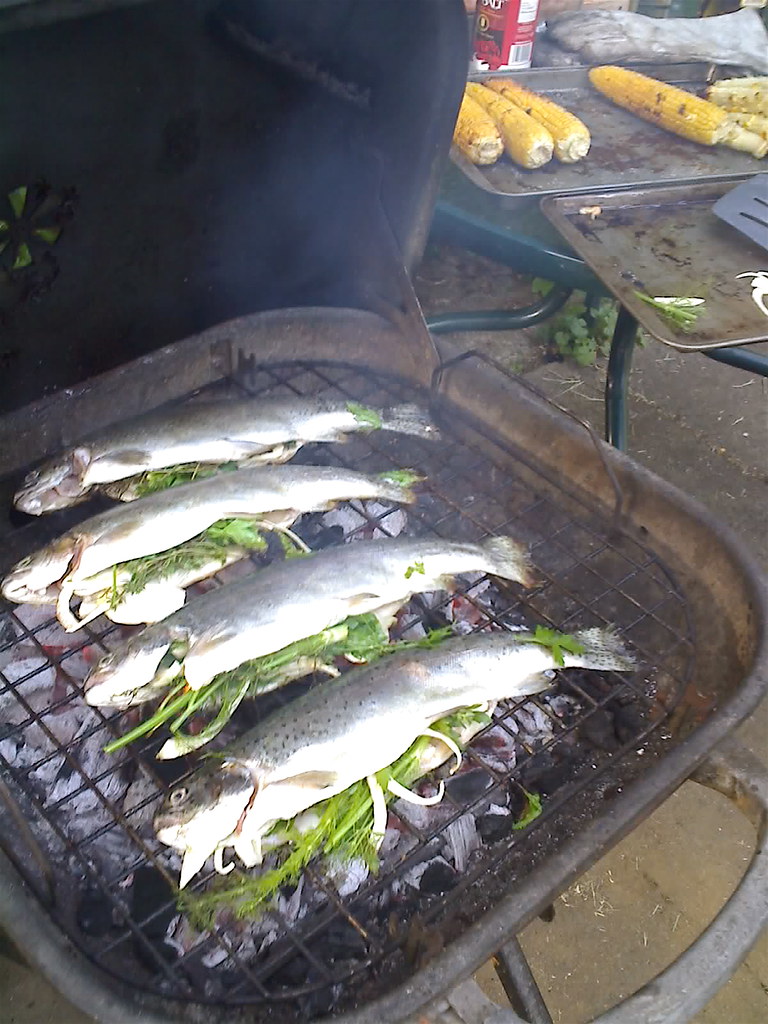 Rainbow trout on the grill