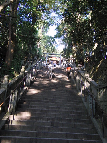 金刀比羅宮 本宮への最後の階段