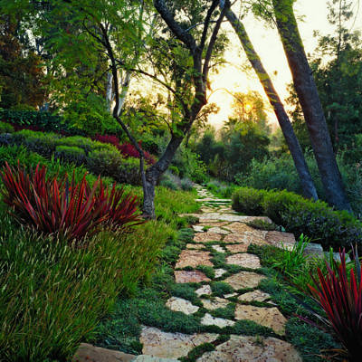 Scattered stone path