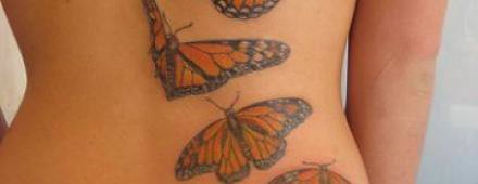 borboletas tatuagens