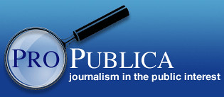 Das Logo von Pro Publica ©  J