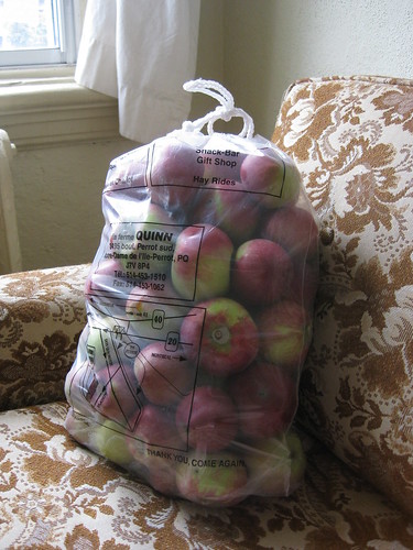 15kg of apples