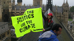 View from the top by Greenpeace UK