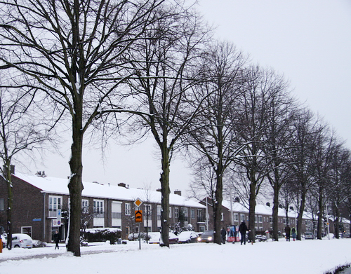追雪-Delft-091220