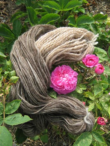 Wool and Roses 