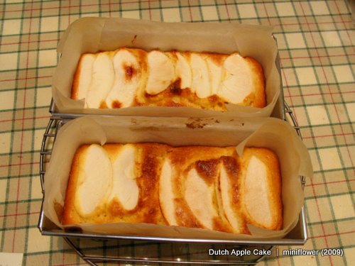 "Dutch Apple Cake" 荷蘭蘋果蛋糕-01