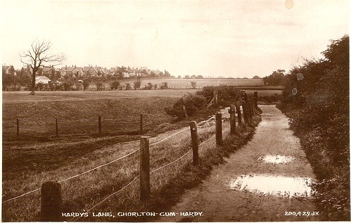 hardy lane postcard circa 1912