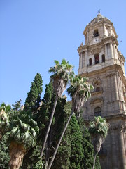 Cathedral of Málaga