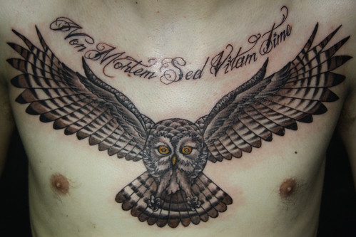  robotattoos Tags black tattoo grey chest fear latin owl script owls