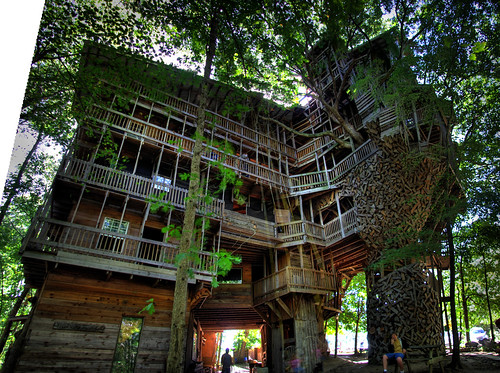 See the other, monstrous picture I took of the treehouse.