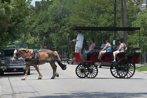 Horse carriage, Charleston.
