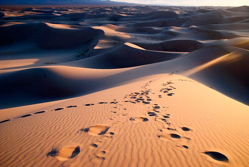 Gobi Desert 43