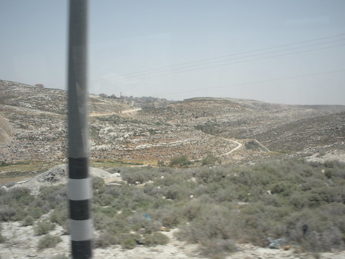 Il viaggio a Ramallah. by you.