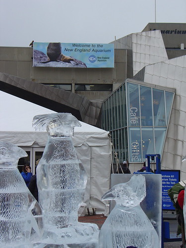 penguin ice sculptures