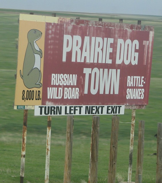 Prairie Dog Town