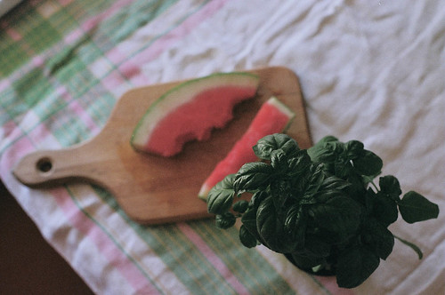 watermelon2-59800013