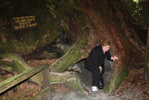Sue goes through Natures Underpass