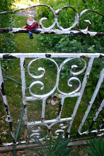 Newly arrived gnomes frolic on the garden gate