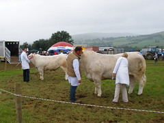 Tinahely Agricultural Show 2009