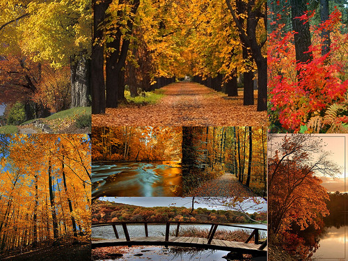 autumn wallpaper. Autumn Desktop Wallpaper