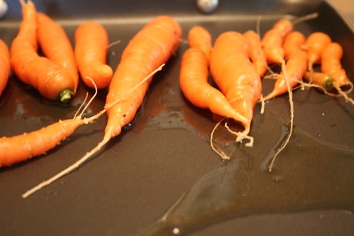 carrots!