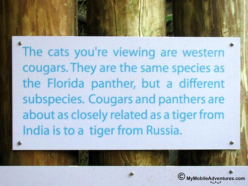 IMG_2068-Naples-Florida-zoo-western-cougar-sign