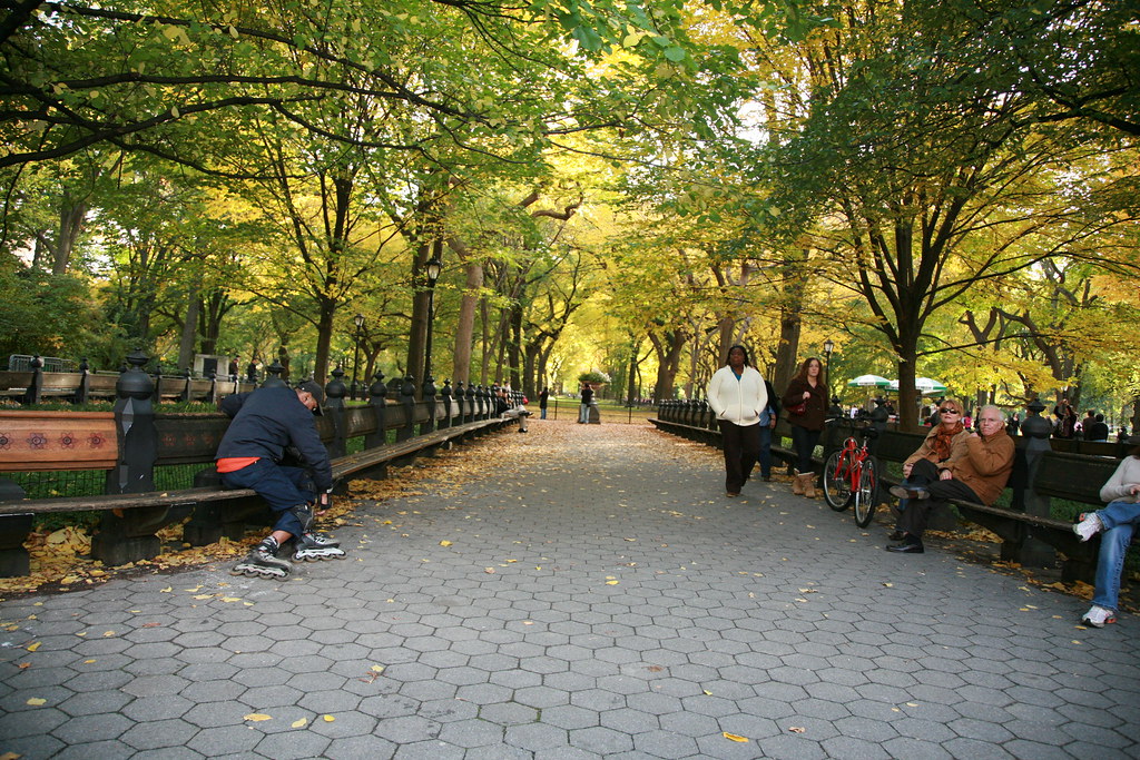 NY - Central park