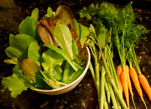 lettuce, carrots and chinese broccoli