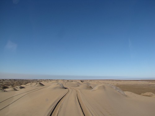 The Dunes of Namib Naukluft Park