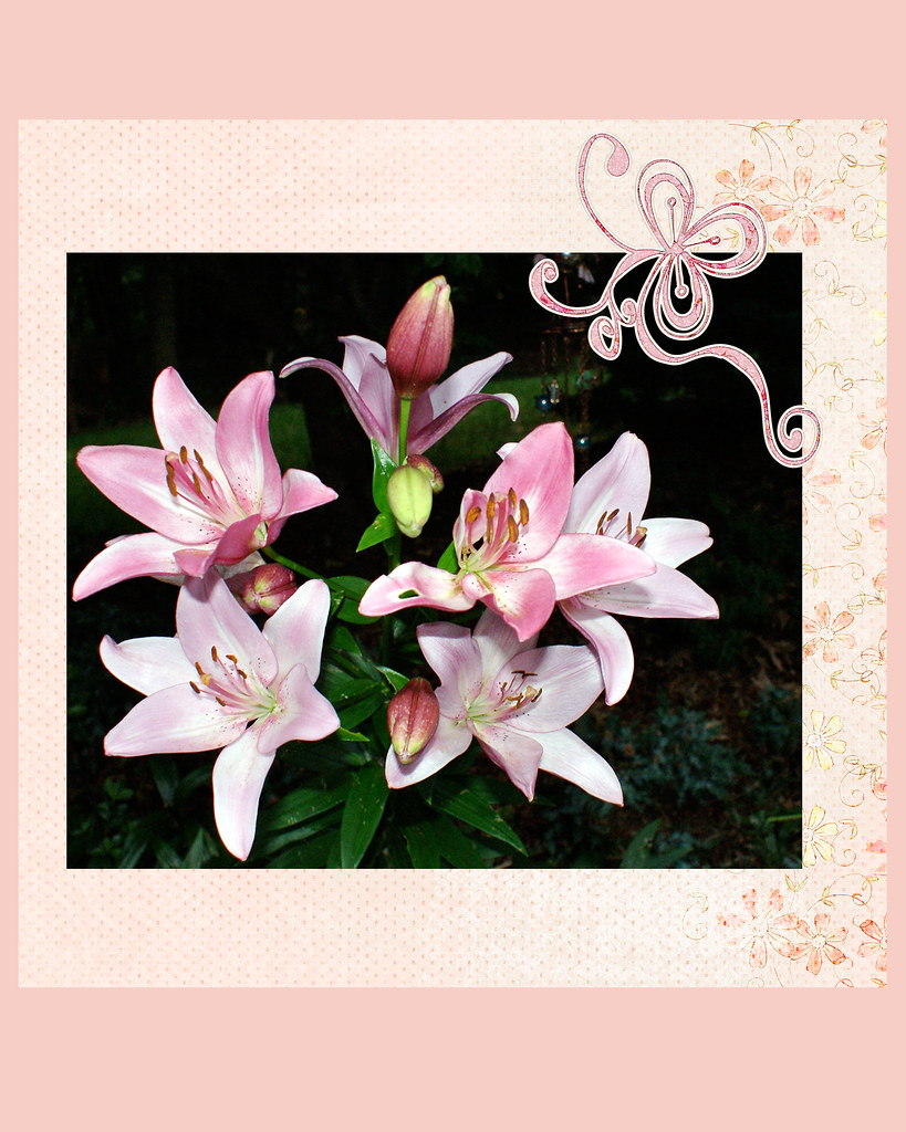 pink-saturday-pink-lilies-2