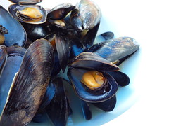 flex mussels