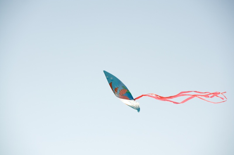 yw-go fly kite-marina barrage-090824-0004.jpg