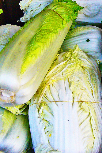 Nappa Cabbage in Chinatown