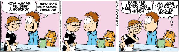 Garfield: Lost in Translation, November 9, 2009