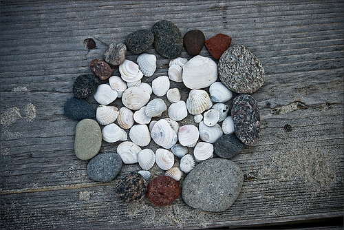 shells_stones ©  misha yakin