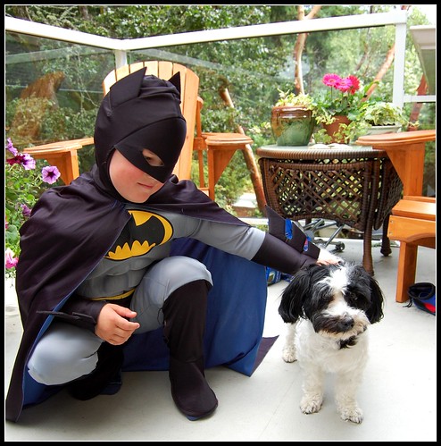 Batman and Charlie the Velcro Dog!